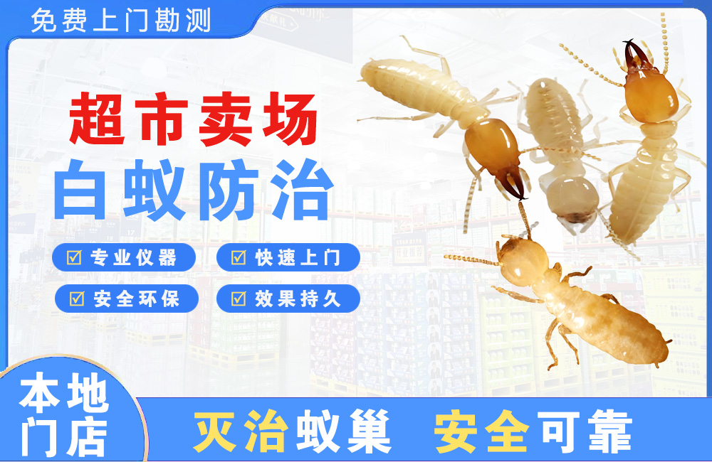 宁波超市卖场白蚁防治