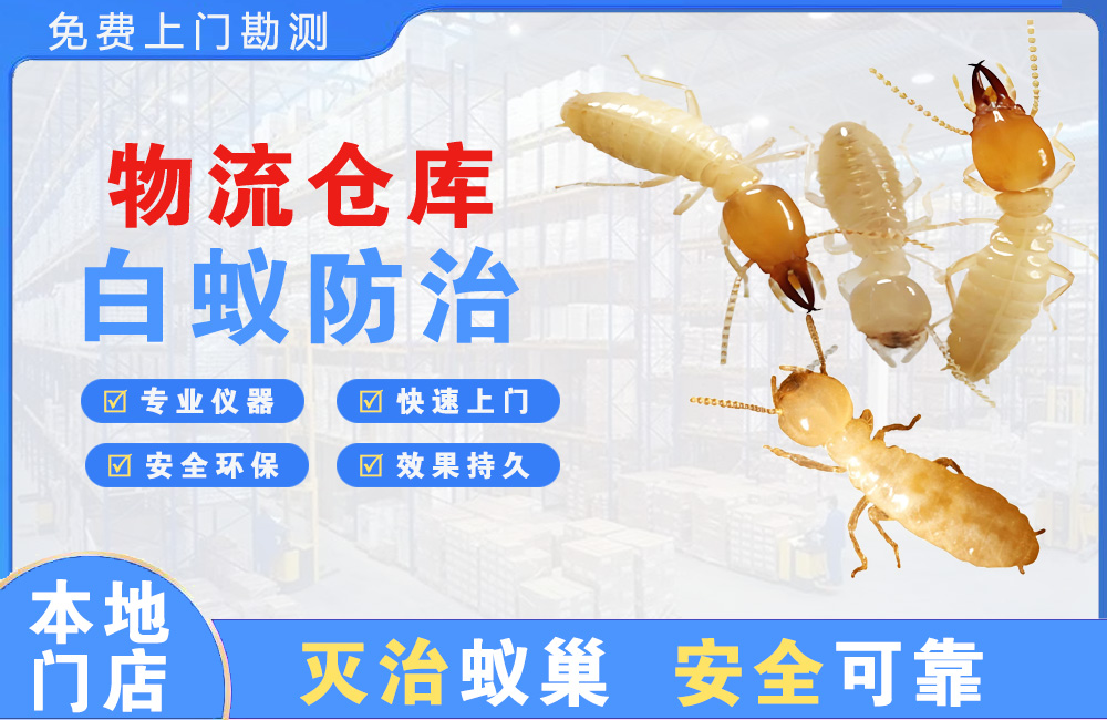 宁波物流仓库白蚁防治