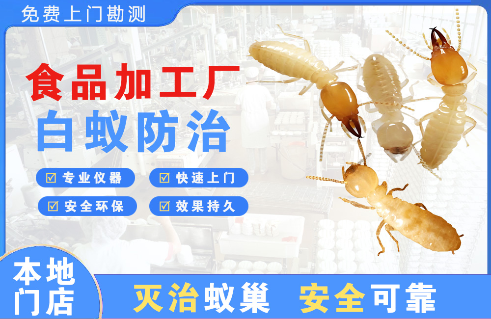 宁波食品加工厂白蚁防治
