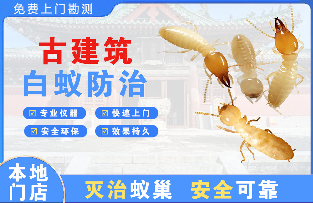 宁波古建筑白蚁防治