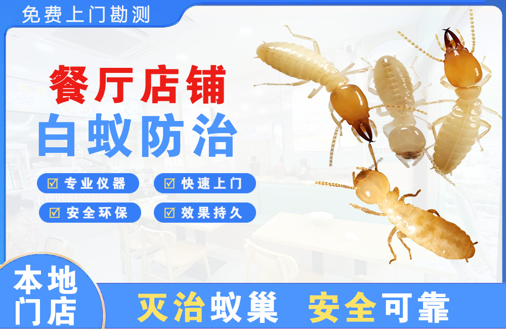 宁波餐厅店铺白蚁防治